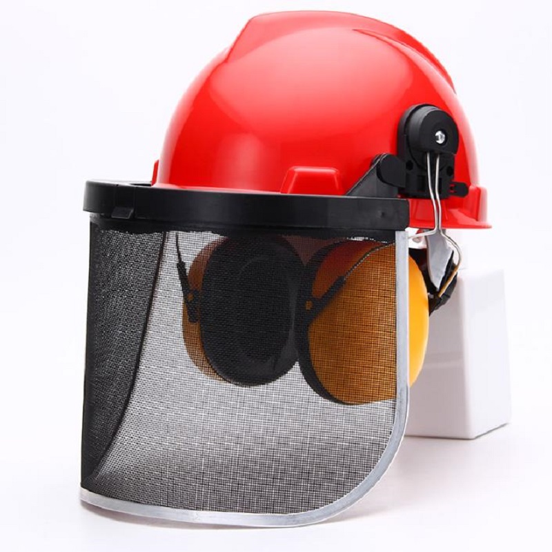 Safety Helmet and Hearing Prot - đánh giá và giá Chainsaw Safety Chaps