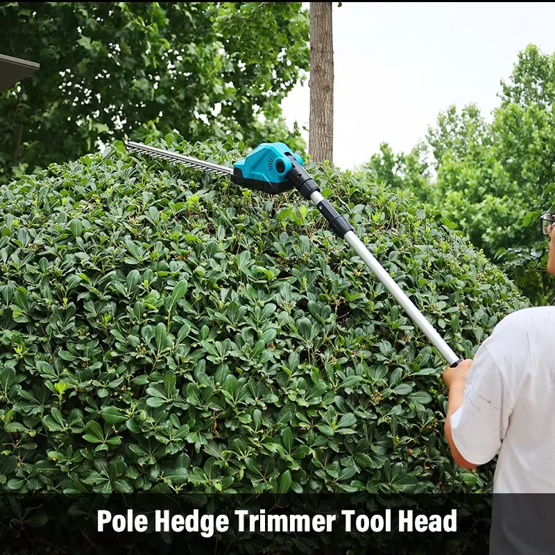2-in-1 Cordless Pole Chainsaw  - đánh giá và giá Cordless Chainsaw 12 Inch Battery